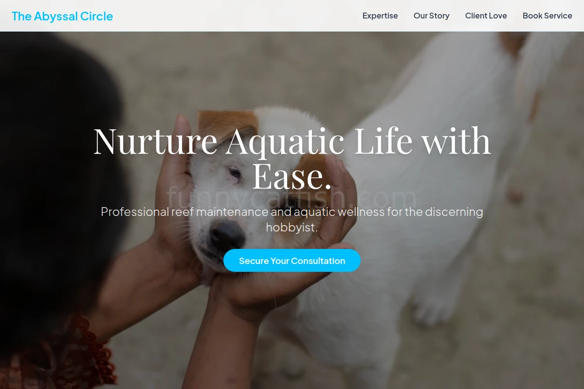 Clownfish Animal Care