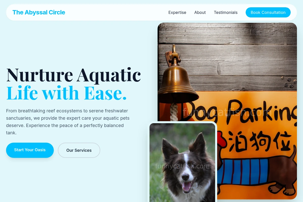 pet-services