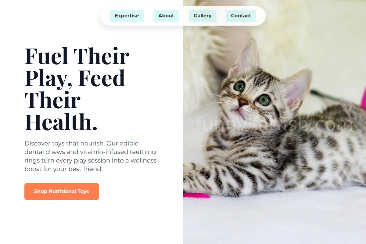 pet-toys